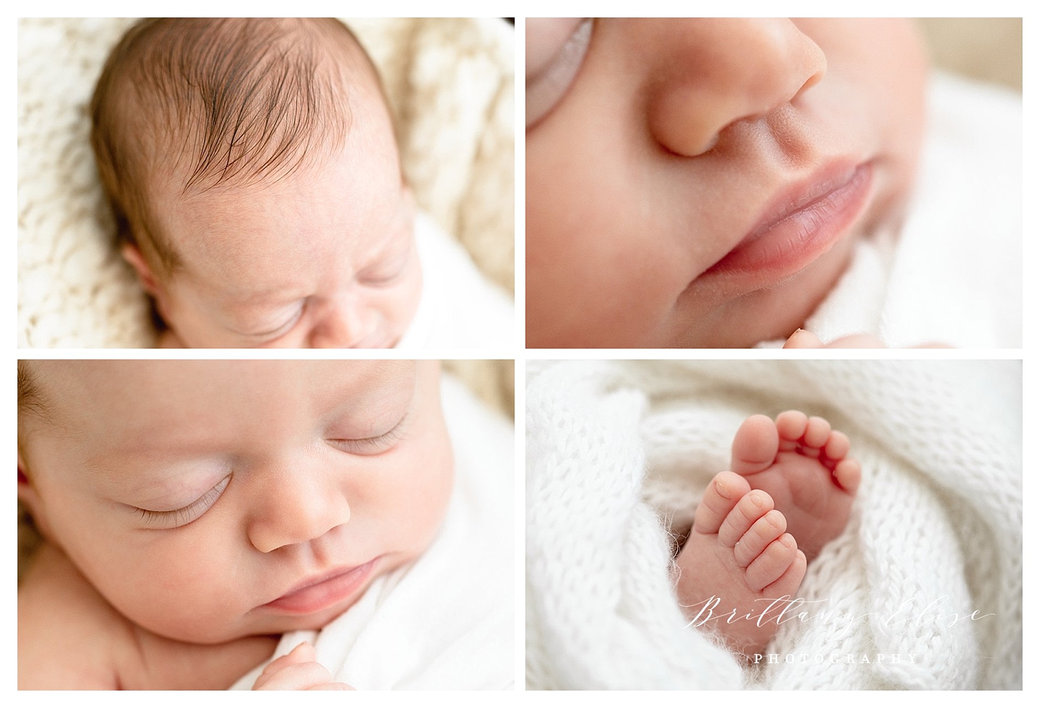 Tampa, FL Twin Newborn Studio Photographer