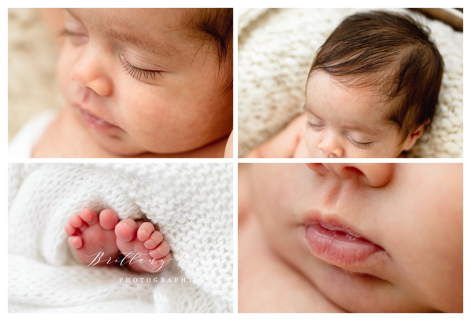 Tampa, FL Twin Newborn Studio Photographer