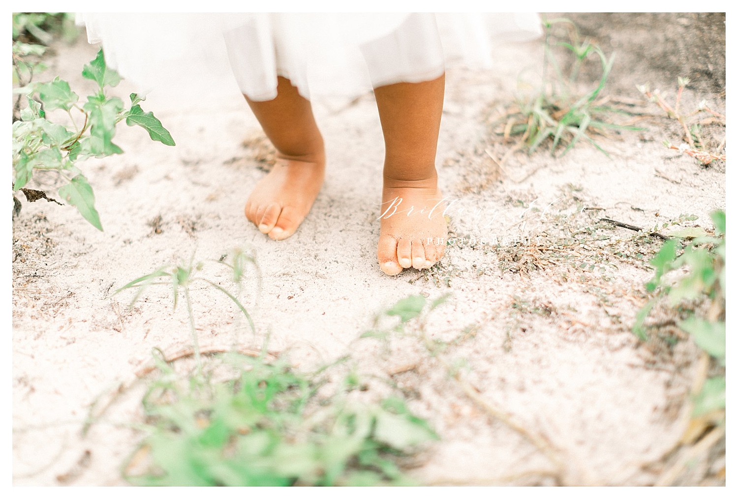 Outdoor Family Maternity Photographer in Tampa, FL