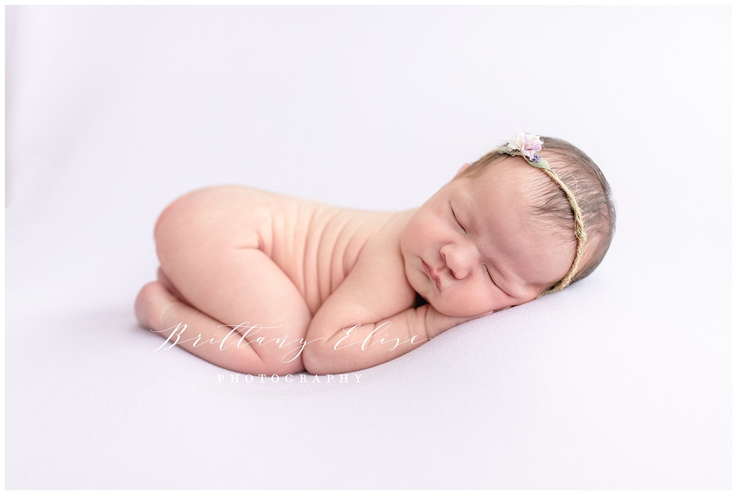 Tampa Newborn Studio Photographer