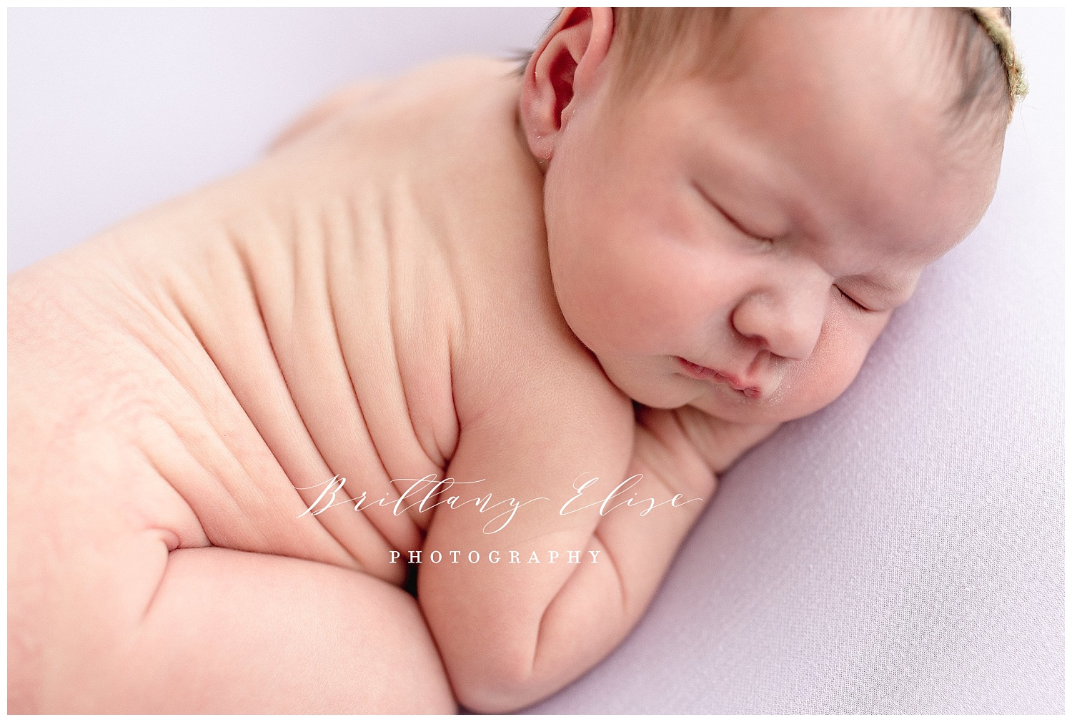 Tampa Newborn Studio Photographer