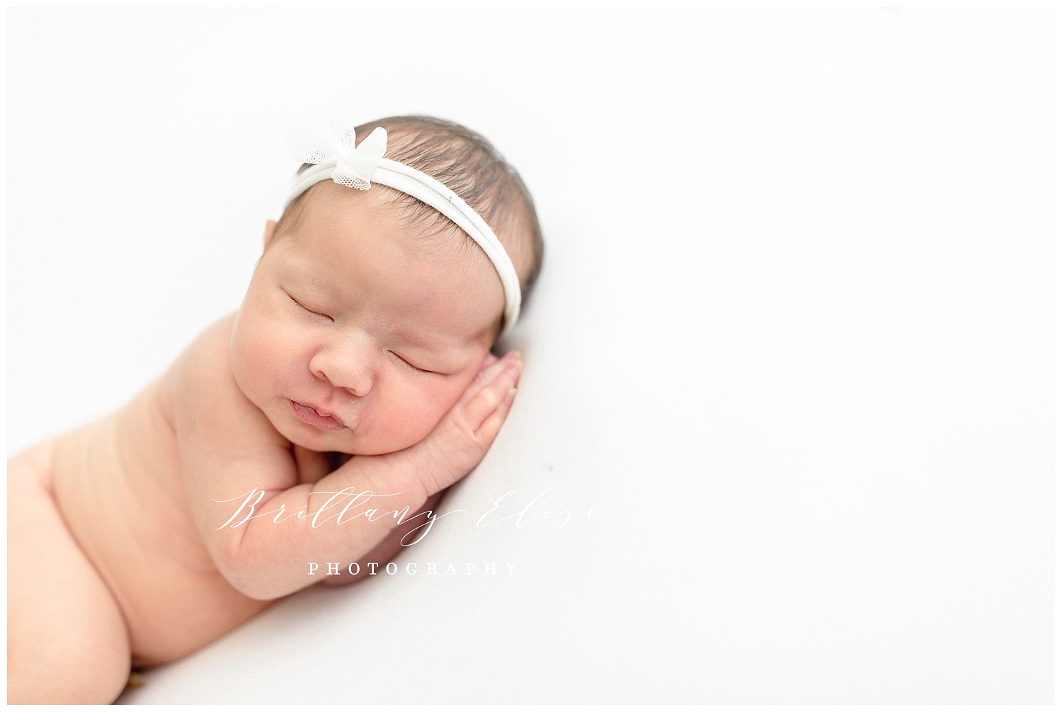 Tampa Newborn Studio Photographer