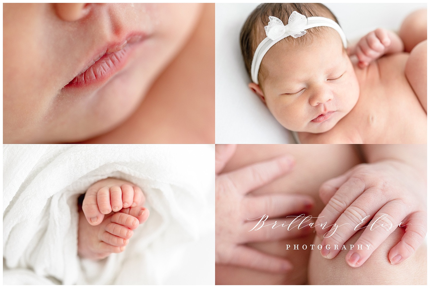 Tampa Newborn Studio Photographer