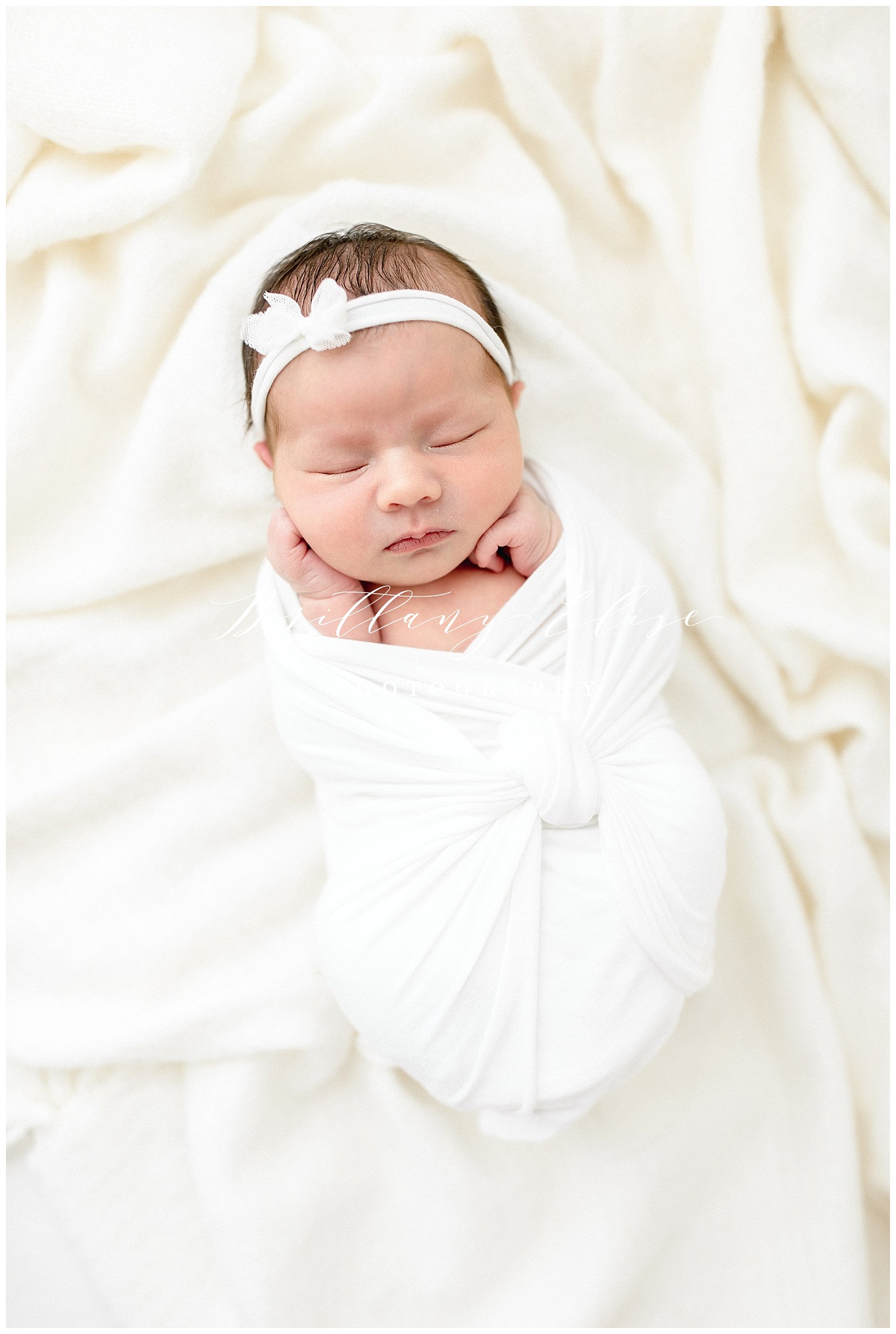 Tampa Newborn Studio Photographer