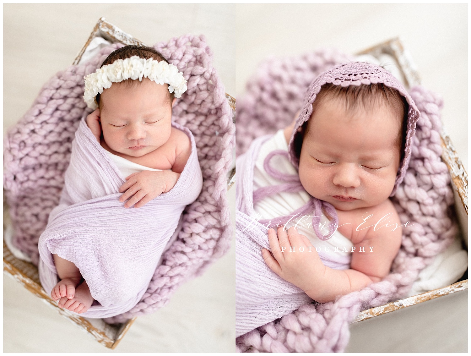 Tampa Newborn Studio Photographer