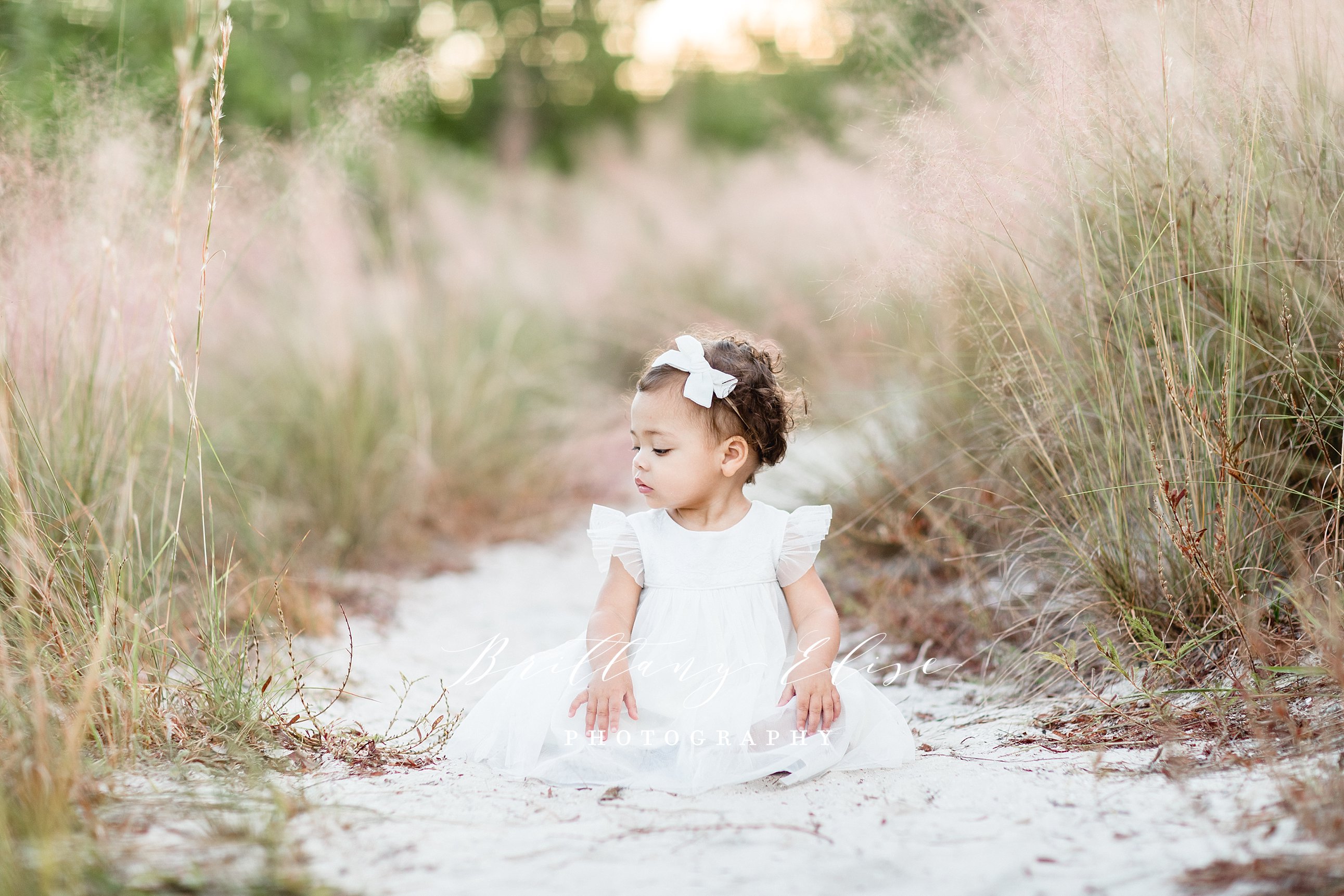 first birthday family photo session in Tampa