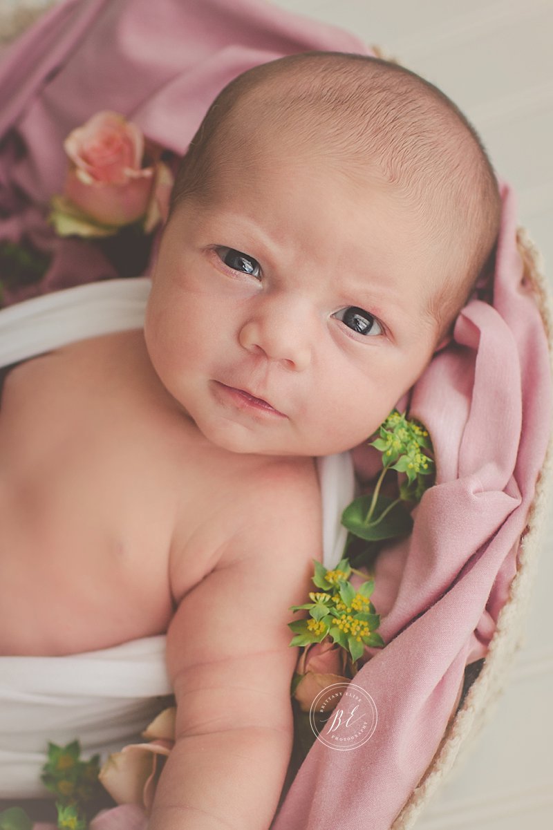 tampafloridanewbornbabymaternityfamilyphotographer