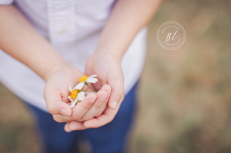 Tampa Natural Light Newborn Maternity Photographer