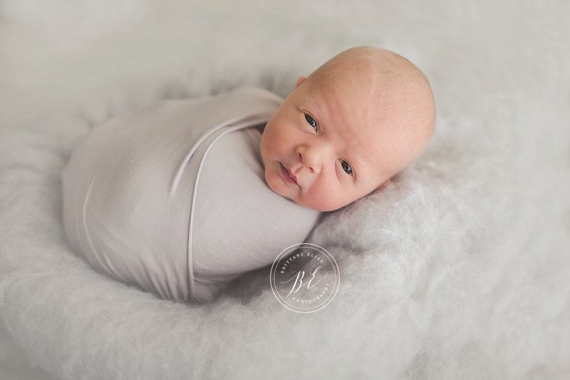 Tampa Natural Light Newborn Photographer