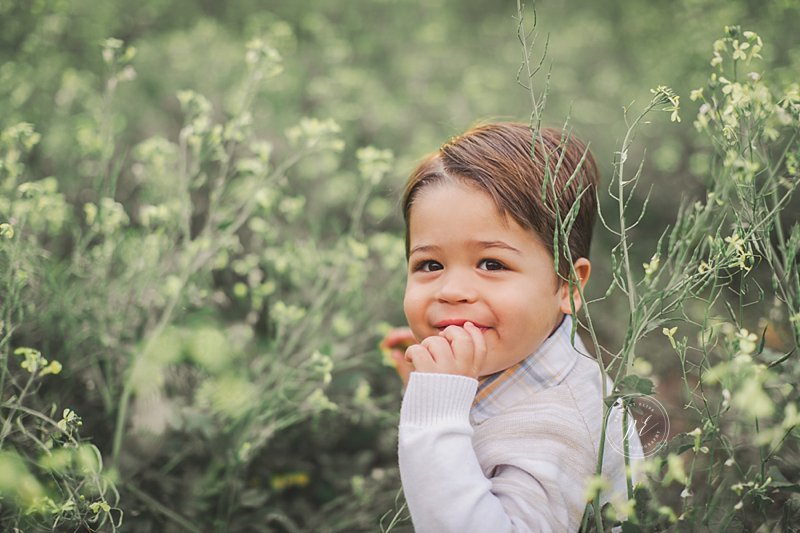 Tampa Natural Light Maternity Newborn Photographer