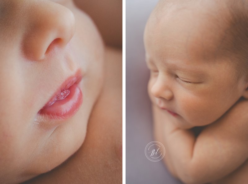 Tampa Newborn Natural Light Studio Photographer