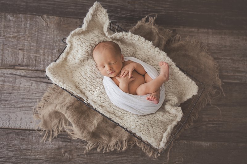 Tampa Newborn Natural Light Studio Photographer