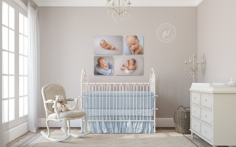Tampa Newborn Natural Light Studio Photographer