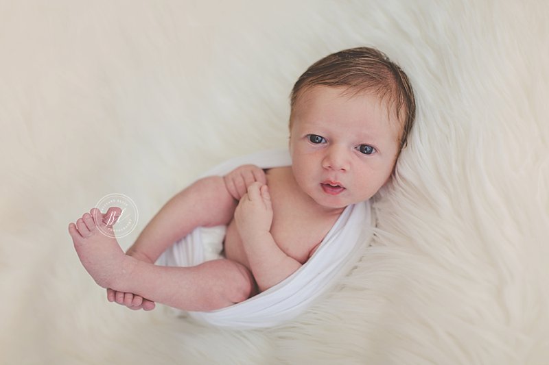South Tampa Natural Light Studio Newborn Photographer