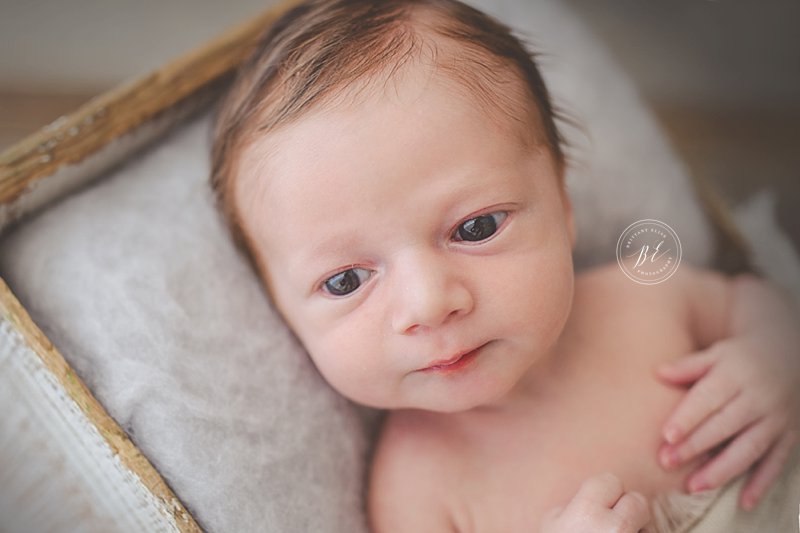 South Tampa Natural Light Studio Newborn Photographer