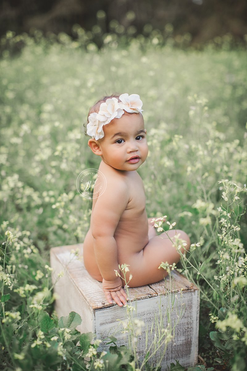 Tampa First Birthday Photographer