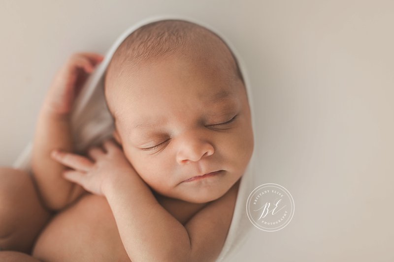Tampa Newborn Fine Art Portrait Photographer