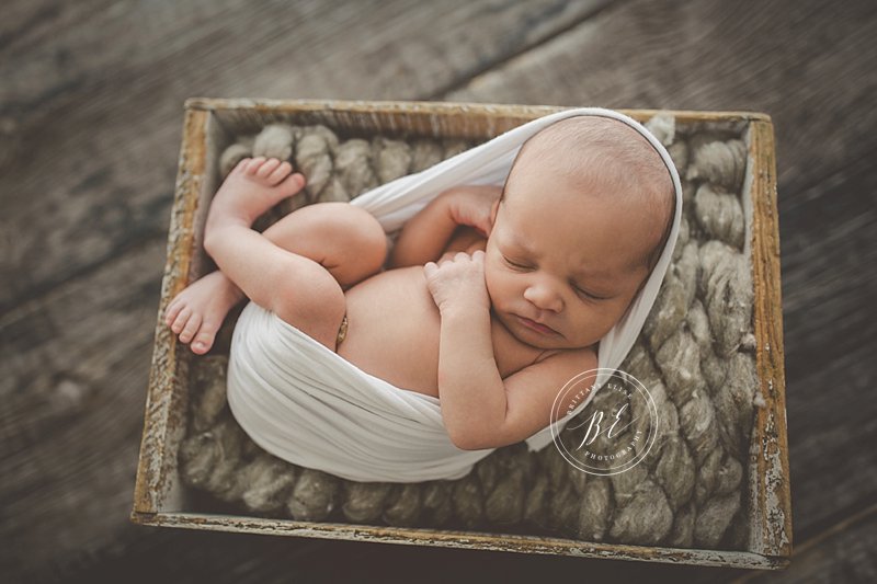 Tampa Newborn Fine Art Portrait Photographer