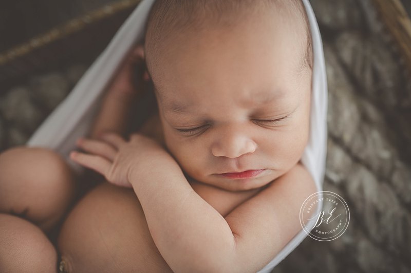Tampa Newborn Fine Art Portrait Photographer