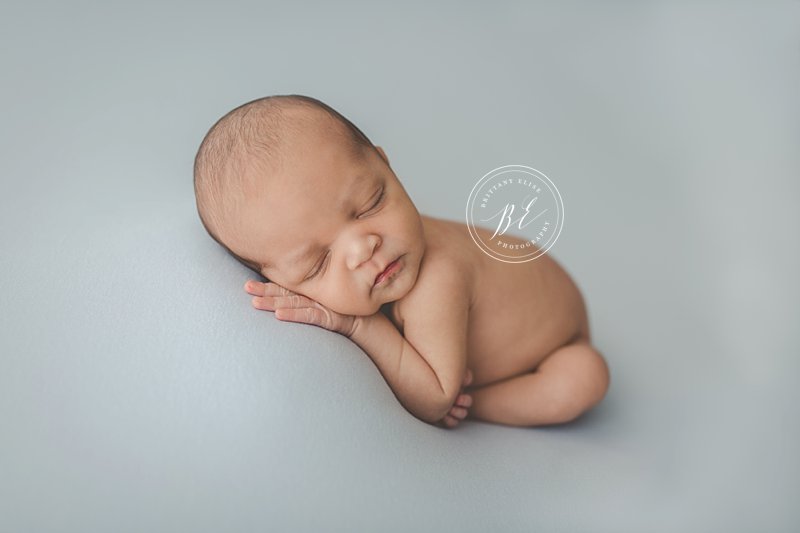 Tampa Newborn Fine Art Portrait Photographer