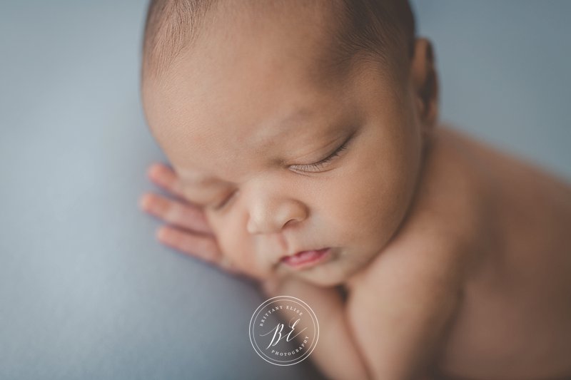 Tampa Newborn Fine Art Portrait Photographer