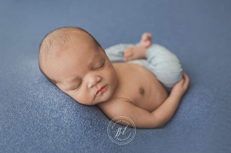 Tampa Newborn Fine Art Portrait Photographer