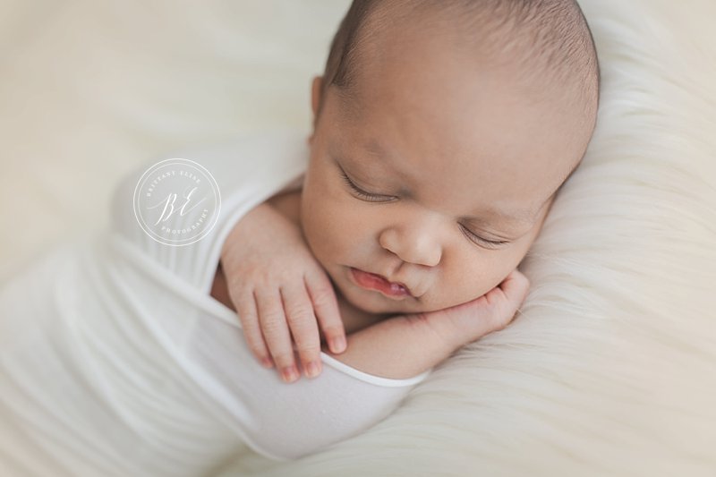 Tampa Newborn Fine Art Portrait Photographer