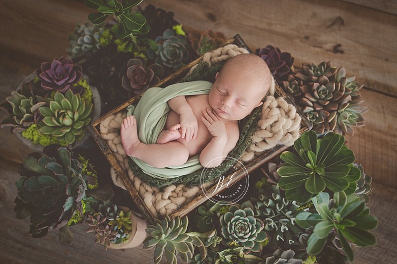 Tampa Military Newborn Photographer