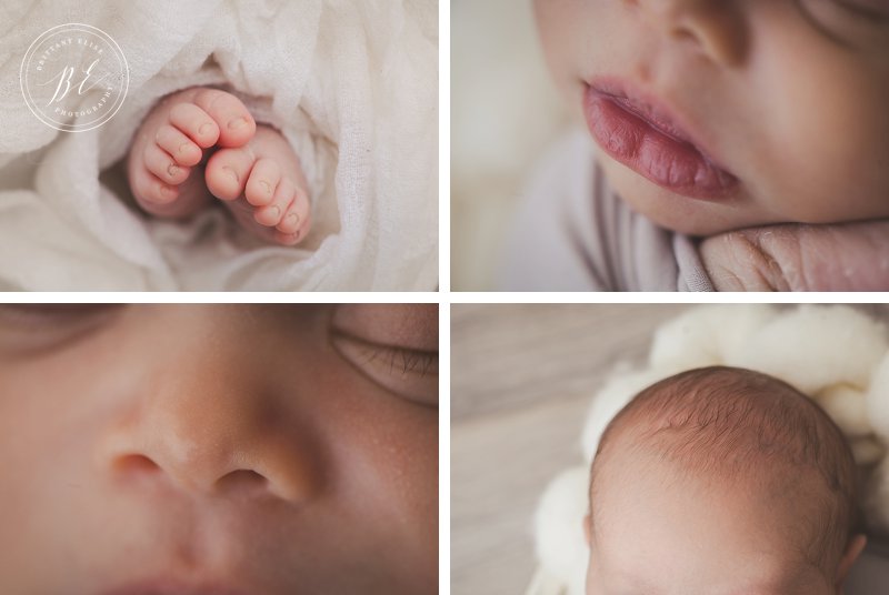 Tampa Newborn Studio Photographer Natural Light Photography