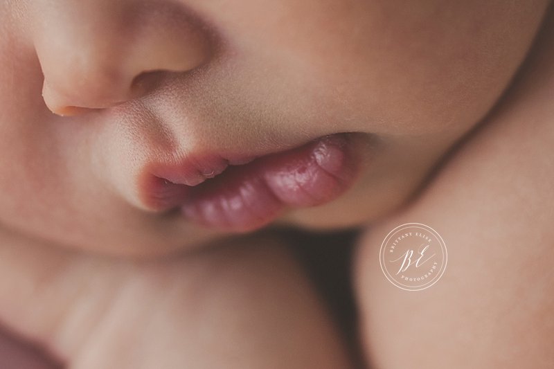 Tampa Newborn Studio Photographer Natural Light Photography