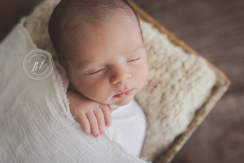 Tampa Natural Light Newborn Studio Photographer