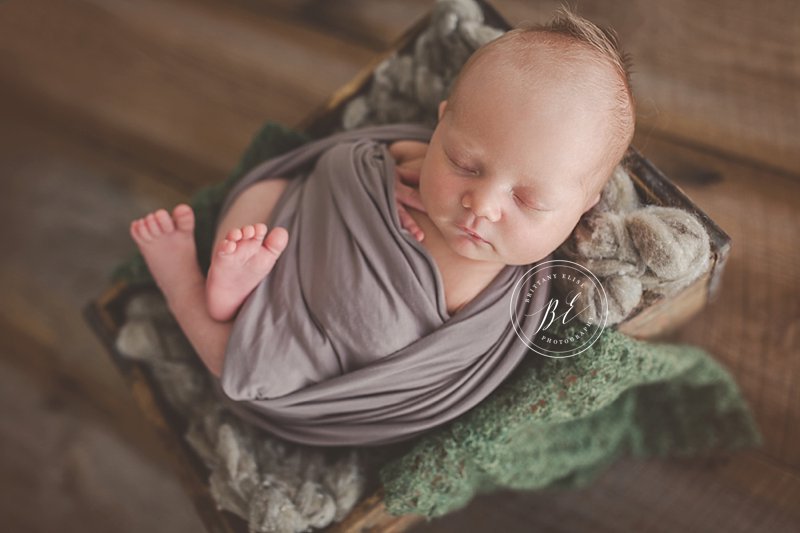 Tampa Newborn Studio Photographer