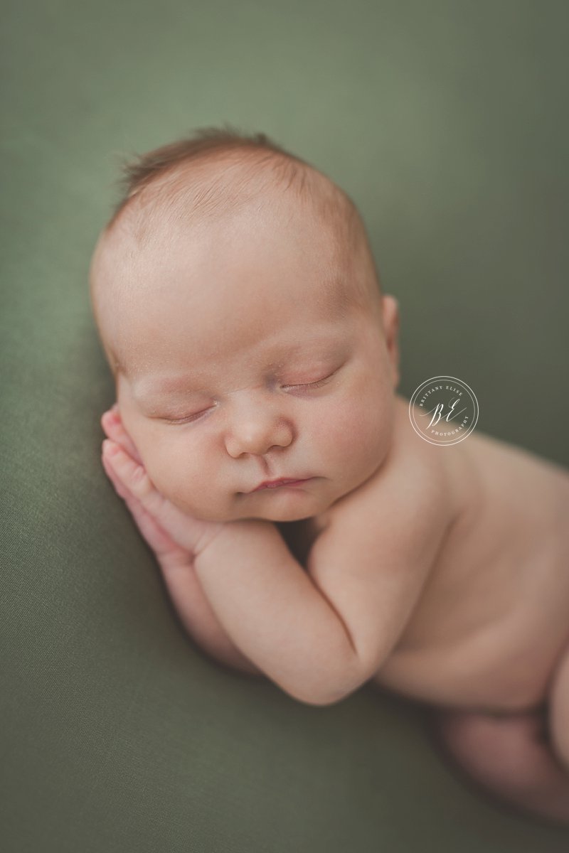 Tampa Newborn Studio Photographer