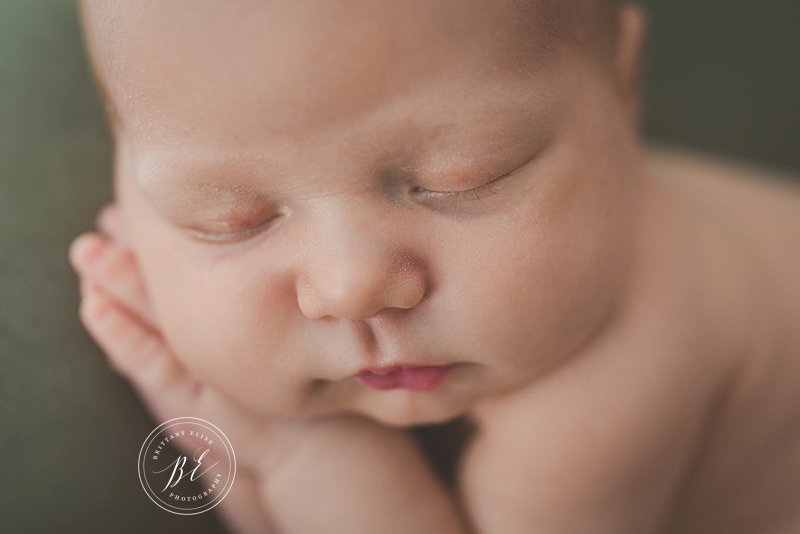 Tampa Newborn Studio Photographer