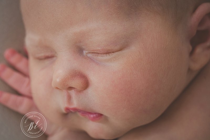 Tampa Newborn Studio Photographer