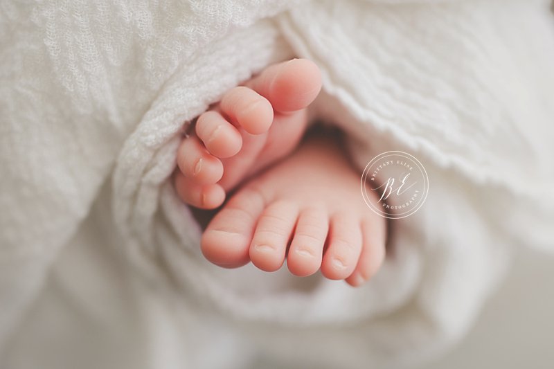 Tampa Newborn Natural Light Studio Photographer