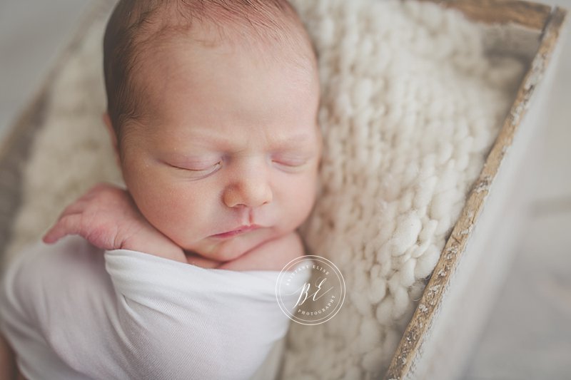 Tampa Newborn Natural Light Studio Photographer