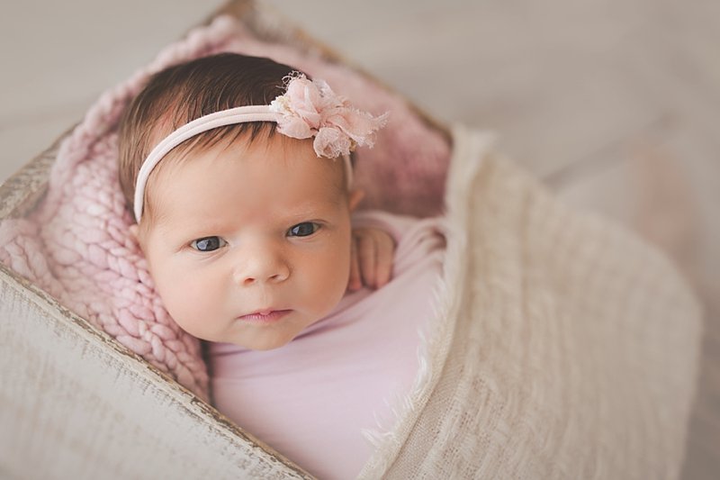 Tampa Newborn Studio Photographer