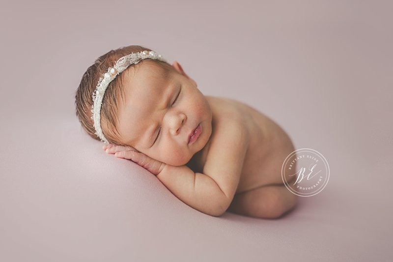 Tampa Newborn Studio Photographer
