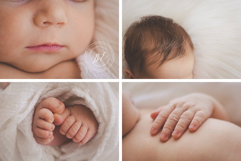 Tampa Newborn Studio Photographer