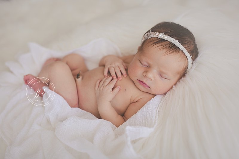 Tampa Newborn Studio Photographer
