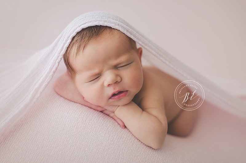 Tampa Newborn Studio Photographer