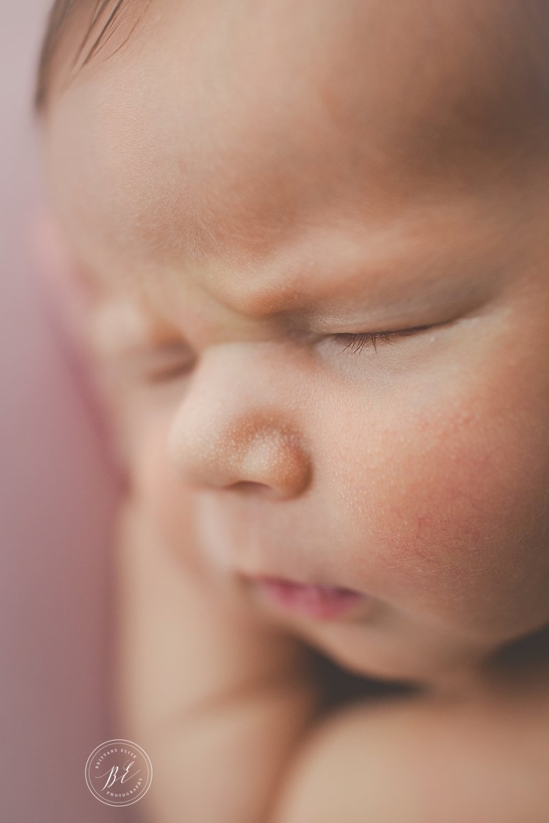 Tampa Newborn Studio Photographer