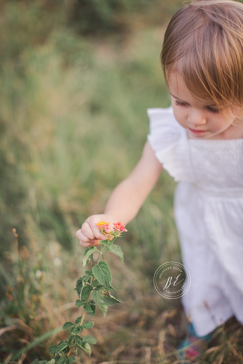 Tampa Maternity Pregnancy and Family Photographer