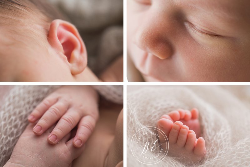 Tampa Luxury Newborn Photographer