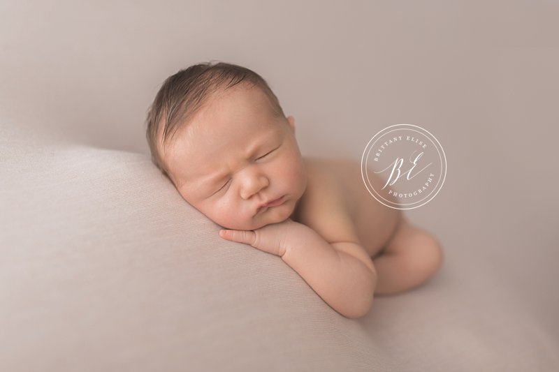 Tampa Luxury Newborn Photographer