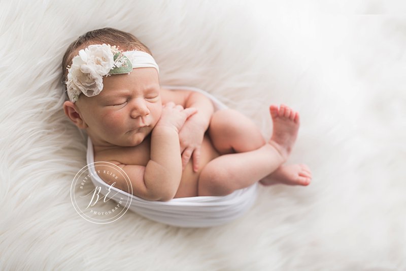 Tampa Luxury Newborn Photographer