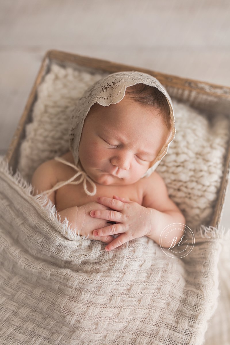 Tampa Luxury Newborn Photographer