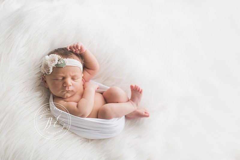 Tampa Luxury Newborn Photographer