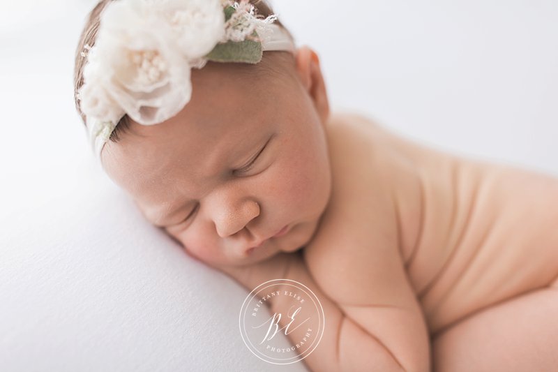 Tampa Luxury Newborn Photographer